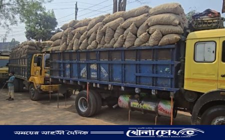 আলু নষ্টের আশঙ্কায় কৃষকদের দুশ্চিন্তা, হিমাগারে প্রবেশে দীর্ঘ অপেক্ষা