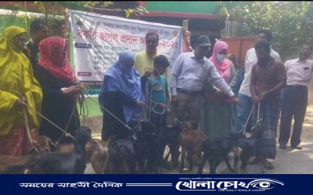 বালিয়াকান্দিতে ২২ হতদরিদ্র পরিবারের মাঝে বিনামূল্যে ছাগল বিতরণ