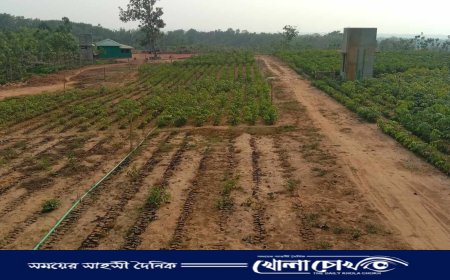 লামা রাবার ইন্ডাস্ট্রির বিরুদ্ধে ষড়যন্ত্রের অভিযোগ কোয়ান্টাম ফাউন্ডেশনের বিরুদ্ধে