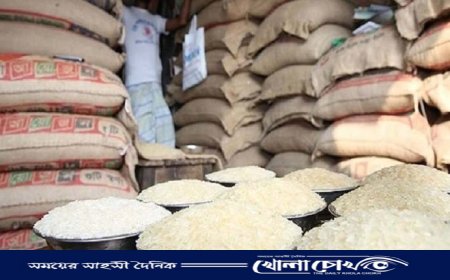 রাজশাহীতে ৯১৩ চাল মিলের বিরুদ্ধে ব্যবস্থা নিতে সুপারিশ