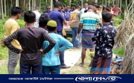পিরোজপুরে হাতুড়ি দিয়ে পিটিয়ে অটোরিকশাচালককে হত্যা