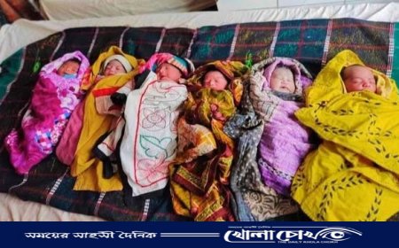 কাপ্তাই স্বাস্থ্য কমপ্লেক্সে ২৪ ঘণ্টায় ৭ নবজাতকের জন্ম