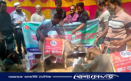 আলফাডাঙ্গায় জেলেদের মাঝে বিকল্প কর্মসংস্থানের জন্য বকনা বাছুর বিতরণ