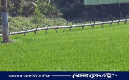 শ্রীনগরে ড্রেজার সিন্ডিকেটের দৌরাত্ম্য, থামছে না কৃষিজমি ভরাট