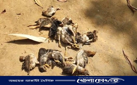 বিজয়নগরে তুচ্ছ ঘটনাকে কেন্দ্র করে হামলা ও লুটপাট, আদালতে মামলা