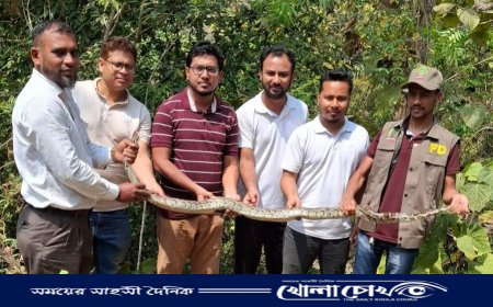 কাপ্তাই জাতীয় উদ্যানে ১০ কেজি ওজনের অজগর সাপ অবমুক্ত