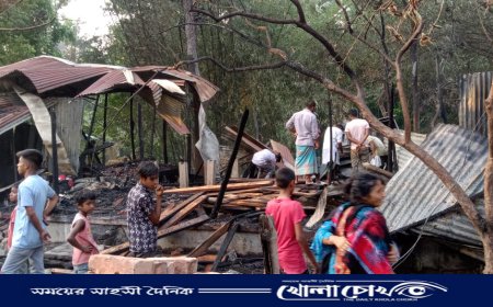 নগরকান্দায় আগুনে পুড়ে ৩০ লাখ টাকার ক্ষতি