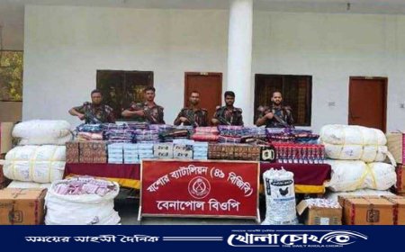 বেনাপোলে বিজিবির অভিযানে দেড় কোটি টাকার ভারতীয় মালামাল জব্দ