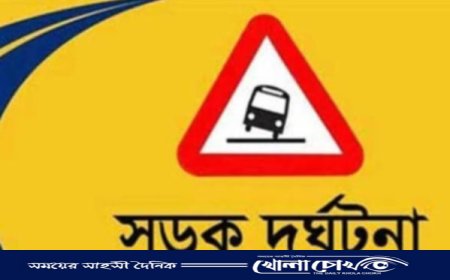 নগরকান্দায় সড়ক দুর্ঘটনায় মহিলার মৃত্যু