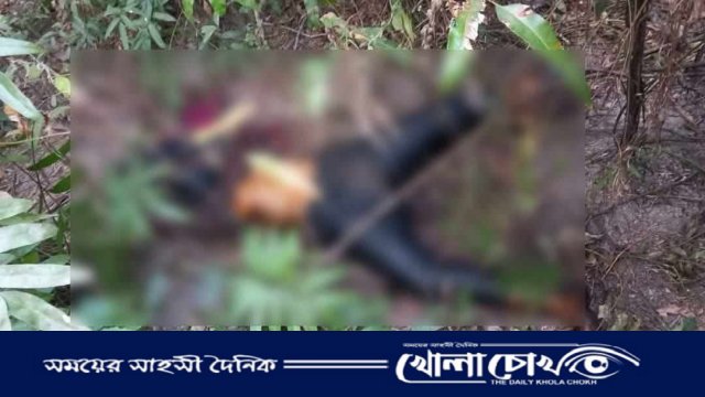মঠবাড়িয়ায় পরিত্যক্ত বাড়ির বাগান থেকে যুবতীর অর্ধগলিত লাশ উদ্ধার