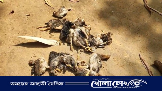 বিজয়নগরে তুচ্ছ ঘটনাকে কেন্দ্র করে হামলা ও লুটপাট, আদালতে মামলা
