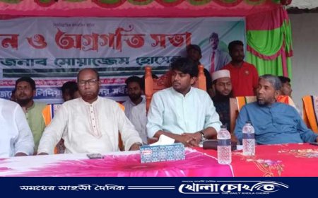 মহম্মদপুরে উন্নয়ন ও অগ্রগতি সভা অনুষ্ঠিত
