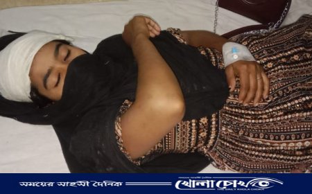 নগরকান্দায় নারীকে কুপিয়ে ও পিটিয়ে জখম