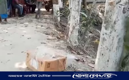 নগরকান্দায় ঔষধের কার্টুনে নবজাতকের লাশ উদ্ধার
