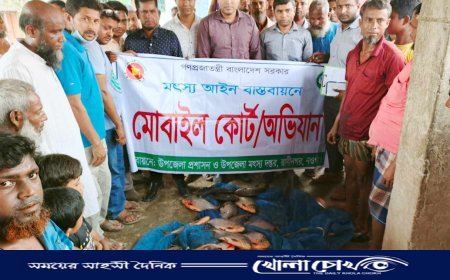 রাণীনগরে দেড় মন নিষিদ্ধ রূপচাঁদা মাছ জব্দ