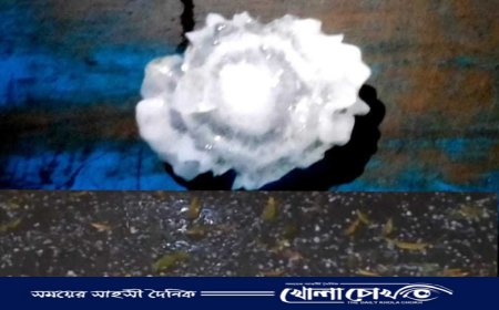 আত্রাইয়ে আকাশ থেকে পড়ল বিরল আকৃতির শীলা