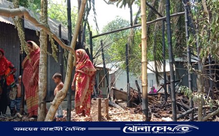 গোয়ালঘরে আগুনে গরু-খাসি-হাঁস পুড়ে ছাই, আহত গৃহকর্তা