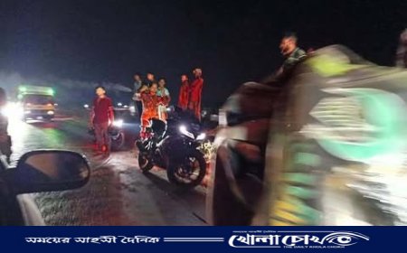 বিজয়নগরে সড়ক দুর্ঘটনায় সিএনজি চালক নিহত