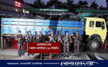 ব্রাহ্মণবাড়িয়ায় ভারতীয় মহিষসহ ট্রাক জব্দ
