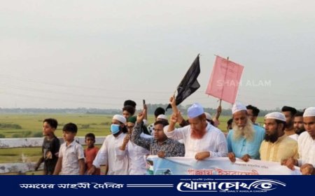 গাজায় গণহত্যা বন্ধে কৃষ্ণনগরে সর্বস্তরের তৌহিদী জনতার বিক্ষোভ মিছিল