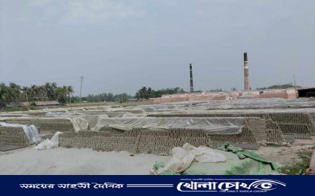 আদালতের আদেশের তোয়াক্কা নেই, কোম্পানীগঞ্জে চলছে অবৈধ ইটভাটা