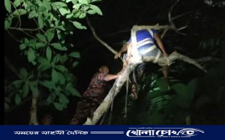 রাতে গাছে উঠে অজ্ঞান যুবক, ফায়ার সার্ভিসের সহায়তায় উদ্ধার