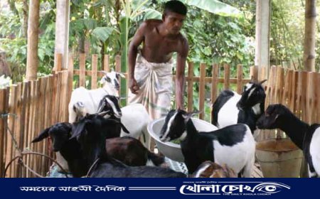 বরেন্দ্র অঞ্চলে ছাগল পালন করে স্বাবলম্বী হচ্ছে মানুষ
