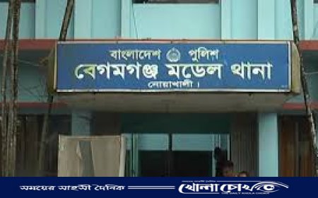 নোয়াখালীতে নাগরদোলায় উঠিয়ে অন্তঃসত্ত্বা স্ত্রীকে গলা কেটে হত্যা