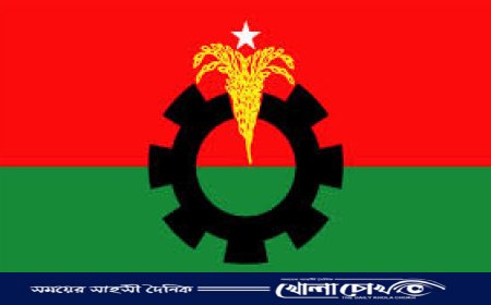 নাজিরপুরে বিএনপি'র আহ্বায়ক কমিটি স্থগিত