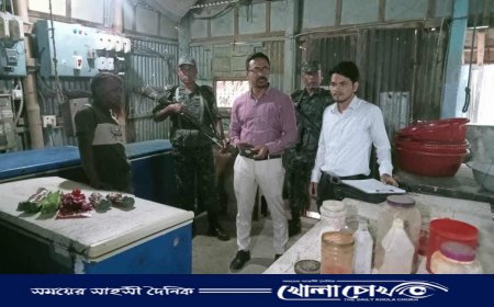 ব্রাহ্মণবাড়িয়ায় আইসক্রিমে কেমিক্যাল, ‘আনার ফ্যাক্টরি’কে জরিমানা