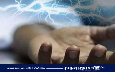 কসবায় পুকুরে পানি সেচের সময় বিদ্যুৎস্পৃষ্টে বাবা-ছেলের মৃত্যু