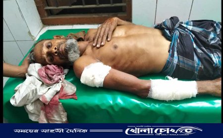 খোকসার ওসমানপুর খেয়াঘাটে মাঝিদের ওপর সন্ত্রাসী হামলা, আহত ২