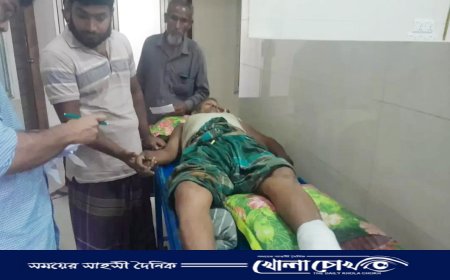 সালথায় জমি বিরোধে কৃষকের রগ কেটে দিল প্রতিপক্ষ, আহত স্ত্রী-সন্তান