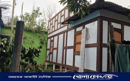 শ্রীনগরে বিধবার বসতভিটা দখলের অভিযোগ