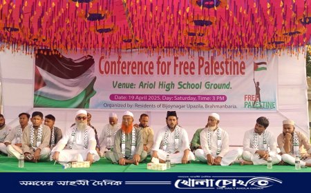 "ফ্রি ফিলিস্তিন কনফারেন্সে" বিজয়নগর উপজেলাবাসীর হাজারো মানুষের সমাবেশ