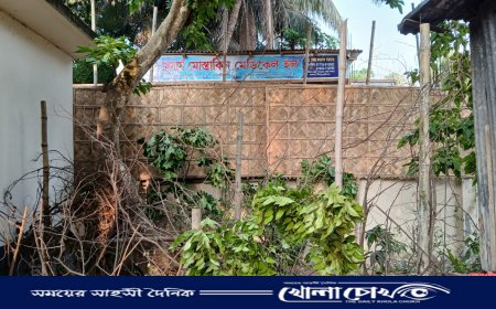 দোকানের সামনে প্রতিপক্ষের জোর পূর্বক বেড়া নির্মাণ, ঔষধ বিক্রি বন্ধ