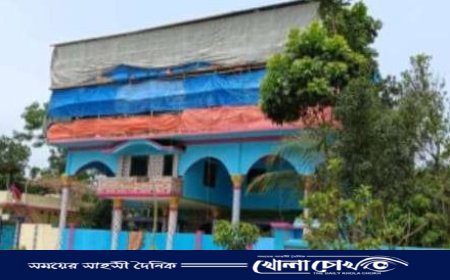 আবাসিক এলাকায় পোল্ট্রি খামার গড়ে ওঠায় অতিষ্ঠ এলাকাবাসী