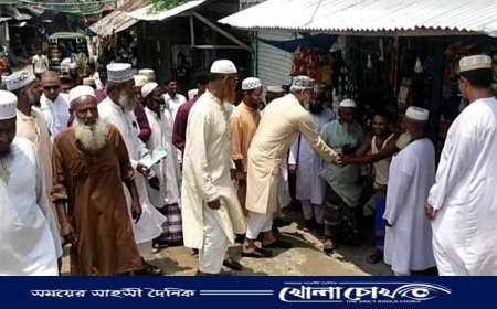 নাজিরপুরে মাসুদ সাঈদীর গণসংযোগ