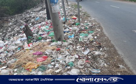 নগরকান্দায় সড়কের পাশে ময়লার ভাগাড়, দুর্গন্ধে অতিষ্ঠ জনজীবন