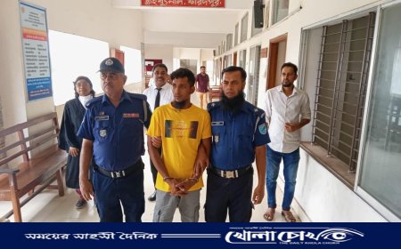 ফরিদপুরে শিশু ধর্ষণ মামলায় যুবকের যাবজ্জীবন