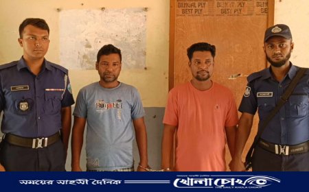 ব্রাহ্মণবাড়িয়ায় প্রবাসীর স্ত্রীকে গাছের সঙ্গে বেঁধে নির্যাতন, গ্রেপ্তার ২