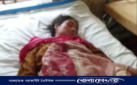 সেনবাগে বসতবাড়ির বিরোধে পুত্রবধূকে মারধর