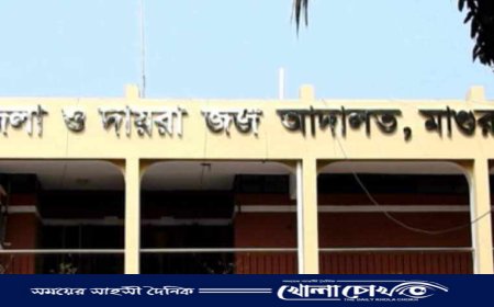 মাগুরায় শিশু আছিয়া ধর্ষণ ও হত্যা মামলায় অভিযোগ গঠন, সাক্ষ্য গ্রহণ ২৭ এপ্রিল