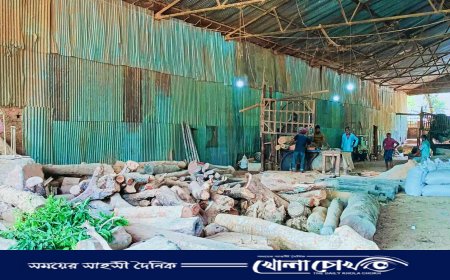 সংরক্ষিত বনে করাতকল, কাপ্তাইয়ে উজাড় হচ্ছে পাহাড়