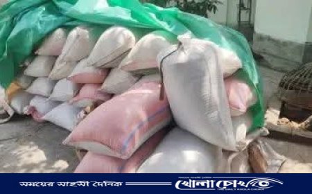 নওগাঁয় বাড়ি থেকে ১ হাজার ৭১৯ কেজি খাদ্যবান্ধব চাল জব্দ