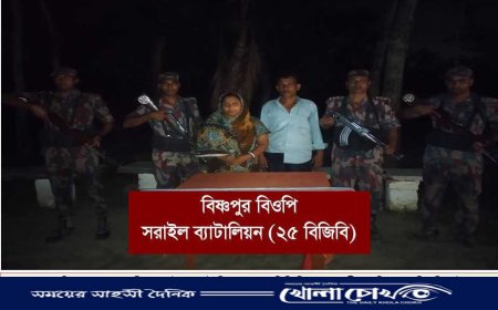 ভারতে প্রবেশকালে বিজয়নগর সীমান্ত থেকে দুই বাংলাদেশি আটক