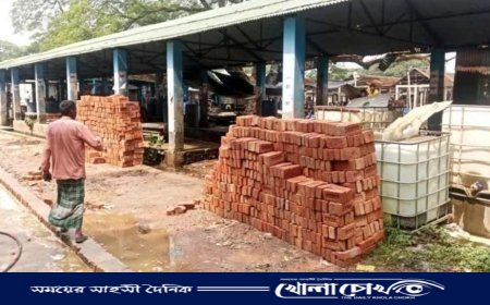 তিন হাজার টাকায় কোটি টাকার খাস জমি দখল, ক্ষোভে উত্তাল এলাকাবাসী