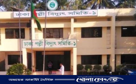 আশুলিয়ায় তীব্র গরমের সঙ্গে পাল্লা দিয়ে লোডশেডিং, অতিষ্ঠ জনজীবন