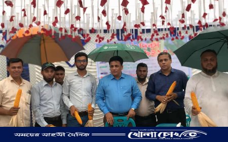 ফরিদপুরে ডিকাল্ব-৯২১৭ ভুট্টা বীজের মাঠ দিবস অনুষ্ঠিত