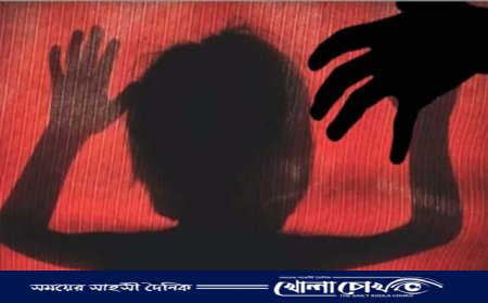 পিরোজপুরে ৮ বছরের শিশু ধর্ষণের অভিযোগে মামলা